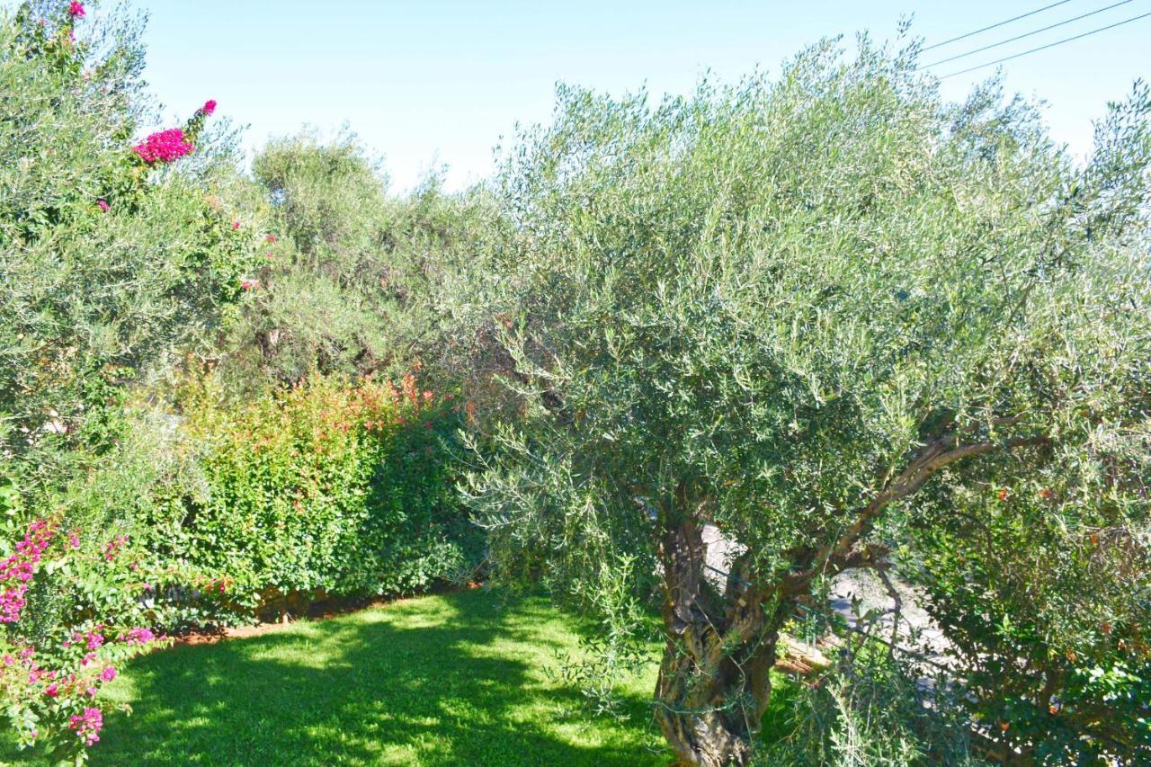 Ferienwohnung Pebbles And Sea At Barbati With Shared Pool Exterior foto